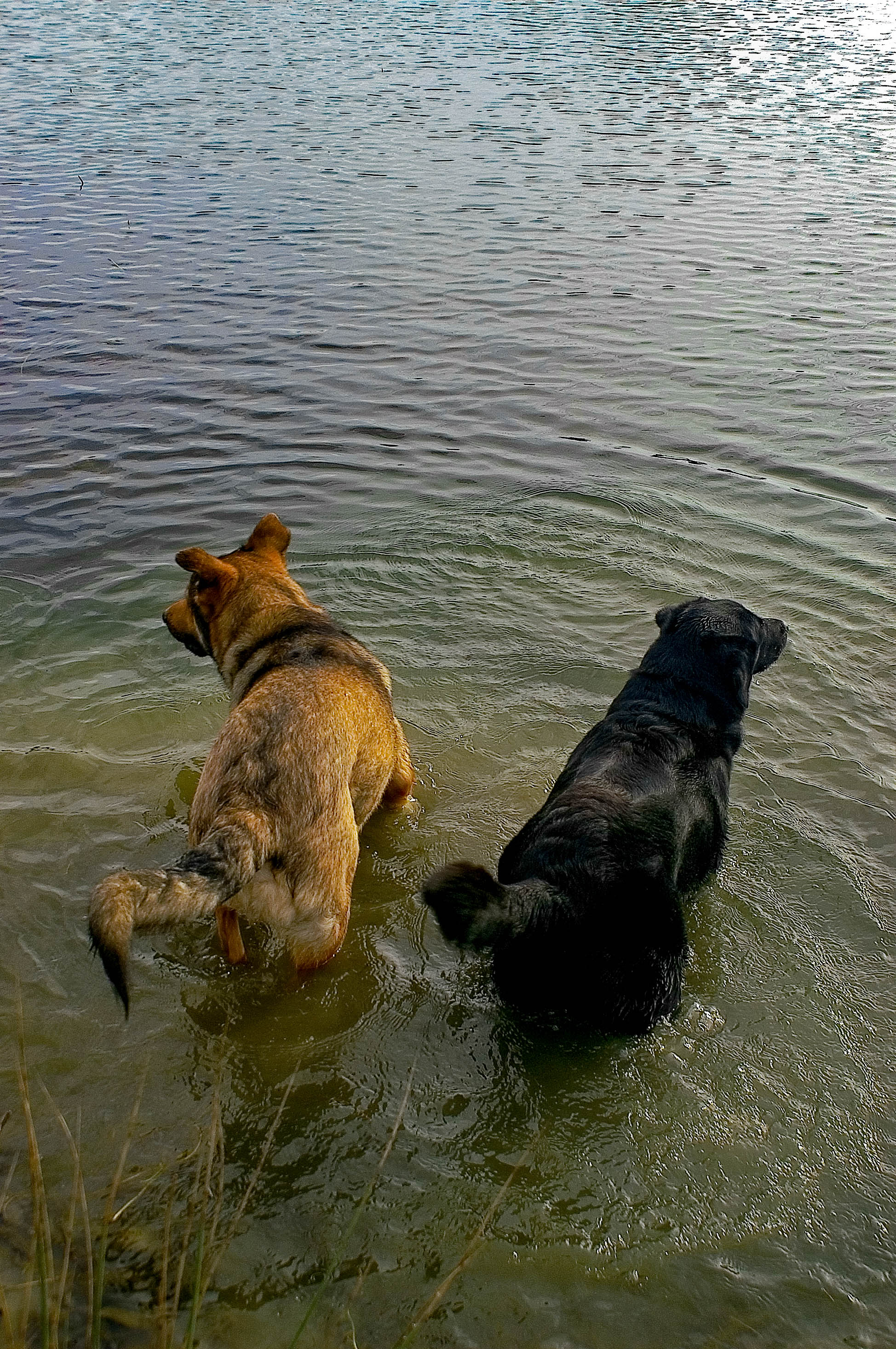CHASSE ET PECHE